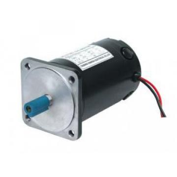 100ZYT Guatemala  Series Electric DC Motor 100ZYT36-300-1700