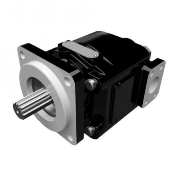 P6P2R1C8A2B03 pumps Original import