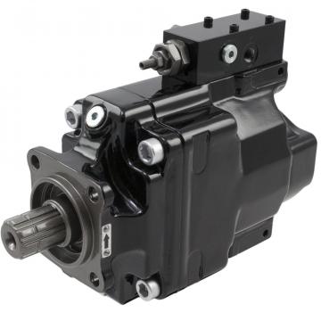 P6R2L1C2N2B05XB0 pumps Original import