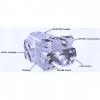 Dansion piston pump Gold cup P7P series P7P-2R5E-9A2-B00-0A0