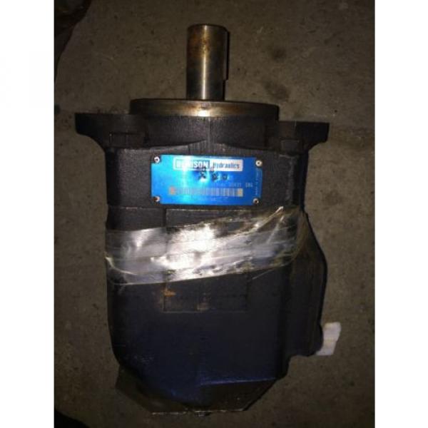 Denison Ireland  Hydraulics Pump T6DCM B20 B6 R00C1 #1 image