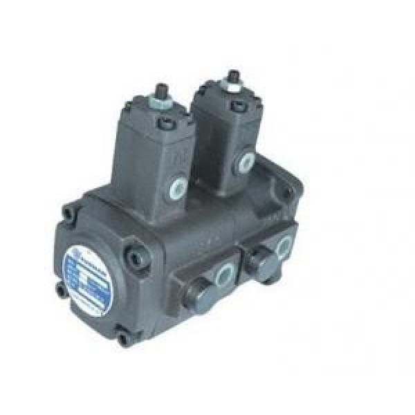 Double Iraq  variable vane pump VHID Series #1 image