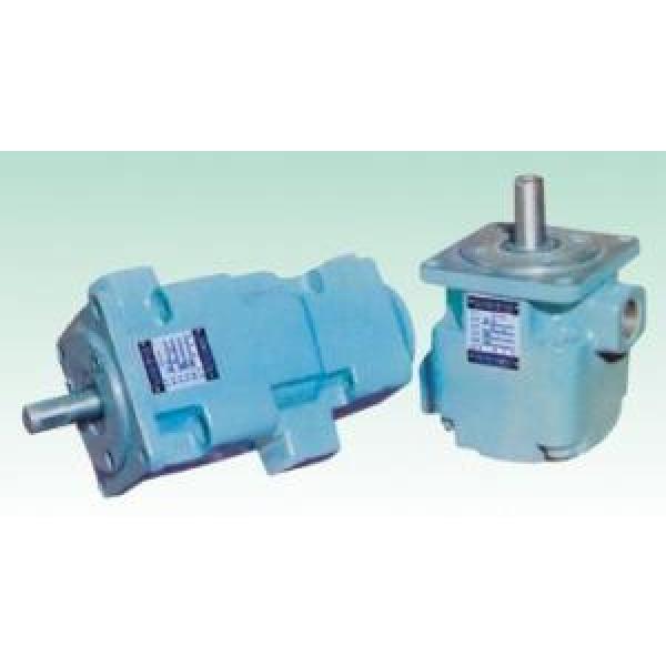 YB1 France  Series fixed displacement pump #1 image