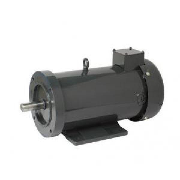 150ZYT Dominica  Series Electric DC Motor #1 image