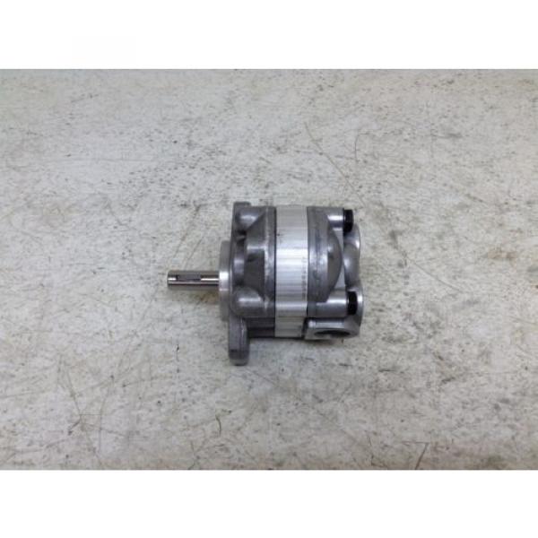 Parker Fiji  Denison D17AA1A Gear Pump #1 image