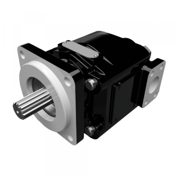 P6P2R1C5A2B pumps Original import #1 image