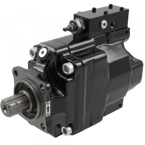 P6P2R1C5A2A pumps Original import #1 image