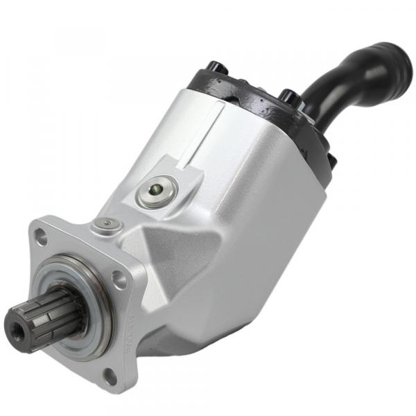 P6P2R1C7D6B pumps Original import #1 image